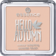 Essence Hello Autumn Colour Adapting Powder Blush