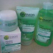 Garnier Skin Naturals Hydra Match Mattifying Fresh Cream 24hr Hydration - Oh! So Matte