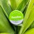 Vaseline® Lip Therapy™ Aloe