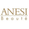 Read more about the article Anesi