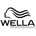 You are currently viewing Wella System Professional